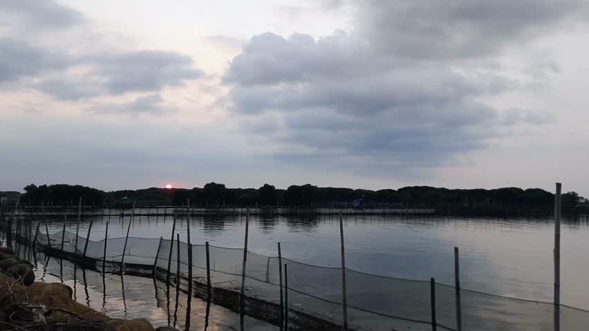 Sunset over the fish pond