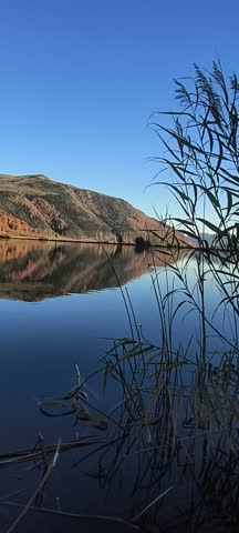 Ducks at San Pedro Lagoon, Lonquimay. On a beautiful sunset in May 2025.