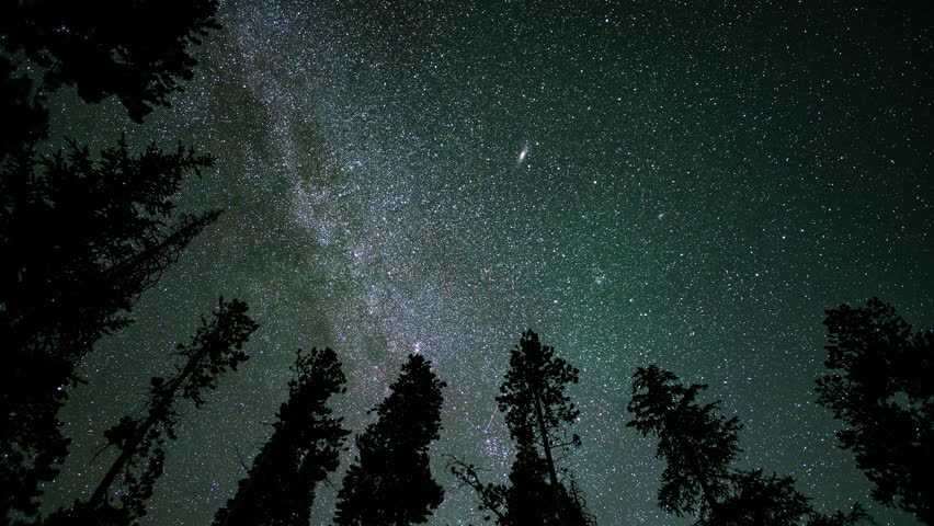 Astro Time-lapse as Milky Way passes by silhouetted trees in the Utah wilderness.