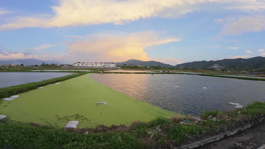 Pond with Algae Under Cloudy Sky Landscape