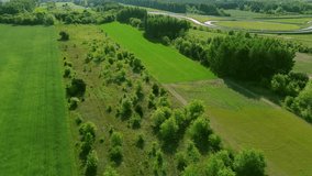 Aerial view of young evergreen tree plantation - Powered by Shutterstock - Get 15% off with code: PIKWIZARD15