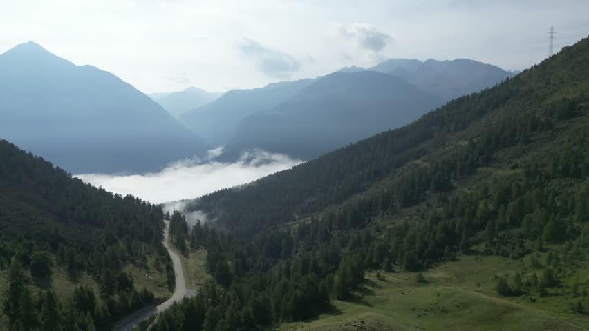 The Landscape of the Albulapass during the summer.
