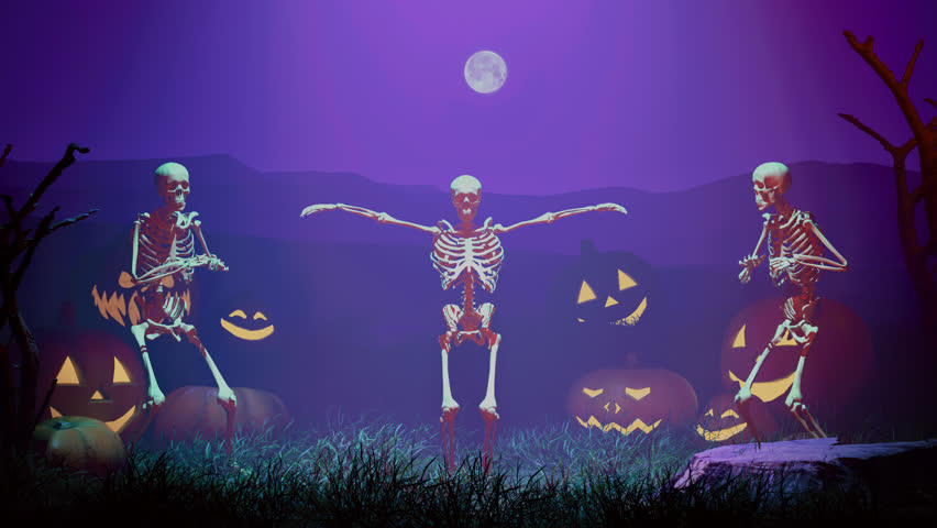 Shutterstock Video