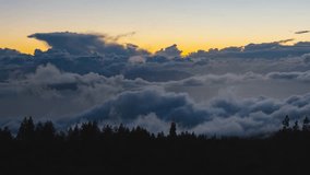 Timelapse of Clouds and Pine Tree Silhouettes at Sunset near Mirador de las Narices del Teide with La Gomera Island in the Distance - Powered by Shutterstock - Get 15% off with code: PIKWIZARD15