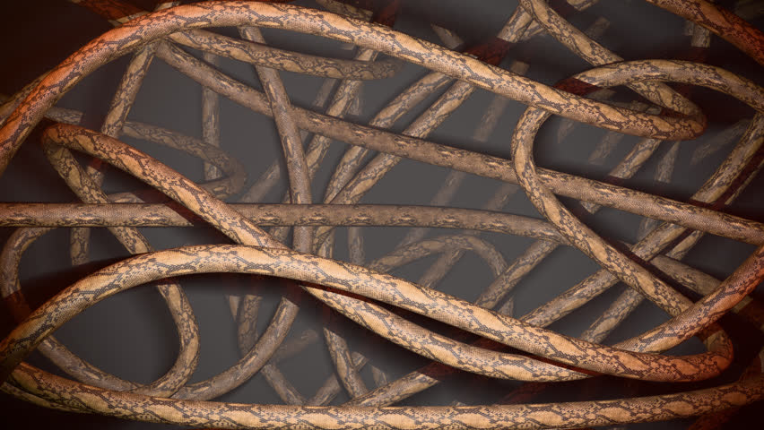 A pool of fog surrounded by snakes