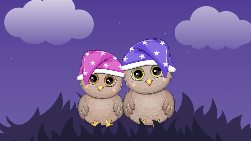 Adorable cartoon owls sitting together at night, wearing colorful sleeping hats. Looping animation with purple sky and clouds
