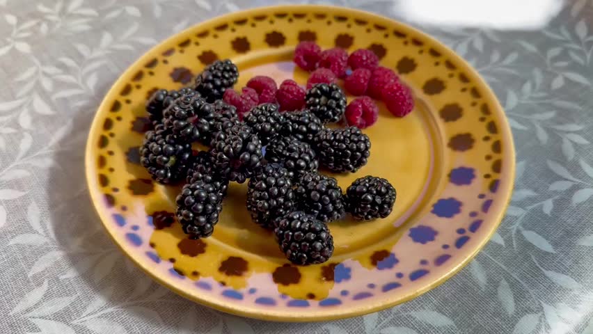 Freshly picked blackberries and raspberries from the garden on a rustic plate, showcasing the concept of organic living, farm to table lifestyle, and the beauty of homegrown seasonal fruits.