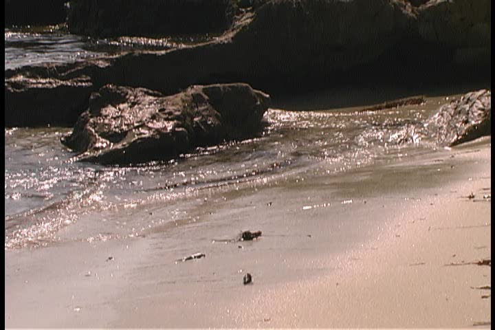Wave crashing on the beach
