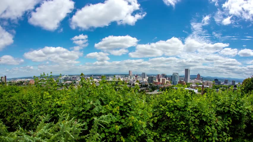 Panoramic view of the portland oregon skyline on a sunny day with blue sky