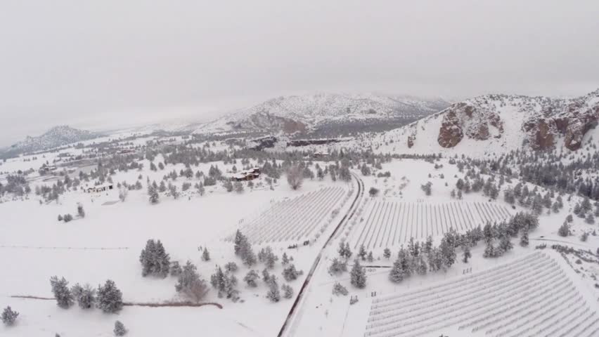 Aerial view of a snow covered landscape with mountains and trees in winter