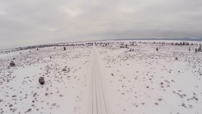 Snowy winter landscape with a road, trees, and bushes under an overcast sky