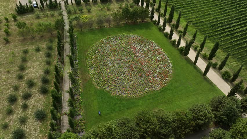 Aerial View of Vazisubani Estate with Vineyard and Swimming Pool in Kakheti Region, Georgia 2025 summer