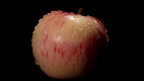 Three-quarter view of a dew-covered apple rotating in studio. Crisp texture and shine on black. - Powered by Shutterstock - Get 15% off with code: PIKWIZARD15