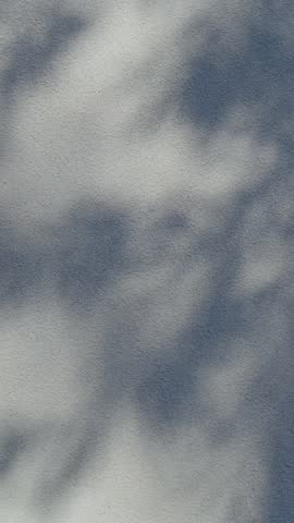 Shadows of leaves or arbor dance on stucco, concrete and plaster walls, creating abstract patterns and textures in shades of gray and white