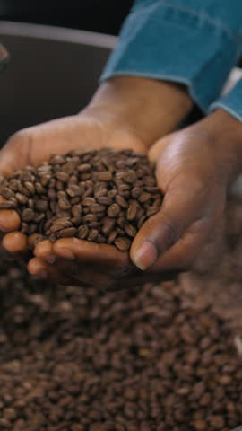 Close up male palms hands holding roasted beans of cacao coffee pour into blender stream mixing unrecognizable African American man working with roasting machine guy in fabric caffeine production