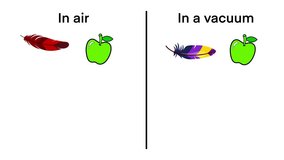 comparing feather and apple falling in air and in a vacuum. Shows air resistance effect and weight force, illustrating Galileo’s principle of equal acceleration in vacuum, air resistance - Powered by Shutterstock - Get 15% off with code: PIKWIZARD15