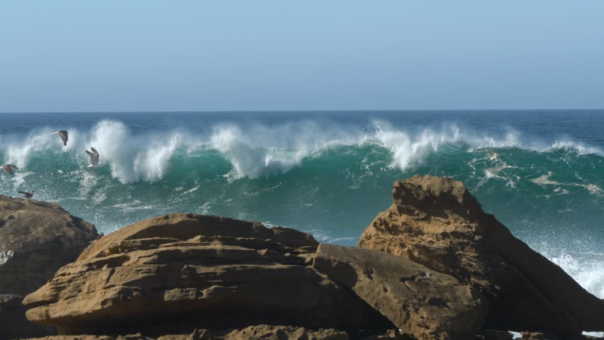 SLOW MOTION, CLOSE UP: Seagulls fly away as big wave breaks with a powerful splash against coastal rocks. Clear blue skies, rolling ocean waves and flock of seabirds in untamed natural environment.
