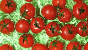 Juicy Tomatoes Making Splash in Water. Macro Top View. - Powered by Shutterstock - Get 15% off with code: PIKWIZARD15