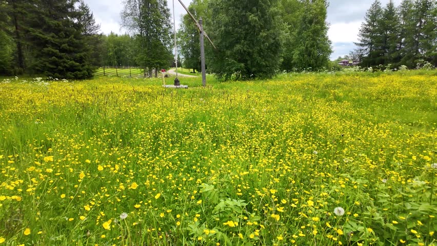 Countryside on a summer day. Panorama