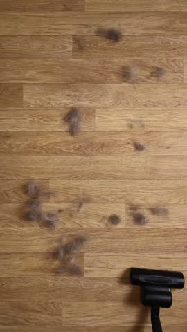 Top view of a person vacuuming cat or dog hair from the floor of a room. Pet care and keeping the house clean. Vertical footage.
