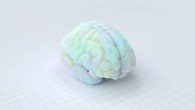 Brain working that shows creative work. Small round, multi-colored spheres running on top of brain. Use multiple pastel colors for interest. Minimal idea concept. Animation seamless loop. 3D Render. - Powered by Shutterstock - Get 15% off with code: PIKWIZARD15