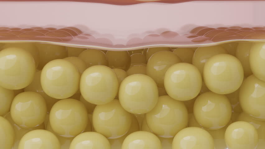 Aging process animation shows hypodermis collapse, causing volume loss and deep wrinkles. Explainer for filler or growth factor treatments. 3D animation