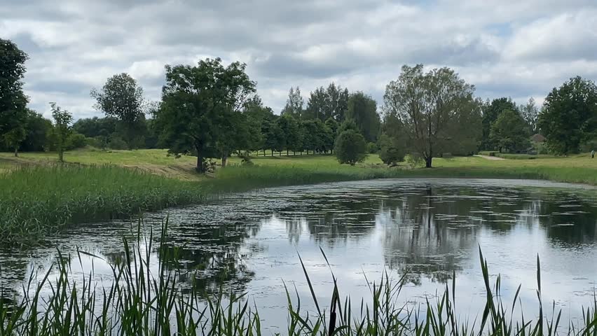 Scenic pond surrounded by lush greenery and trees under cloudy sky reflecting in water video