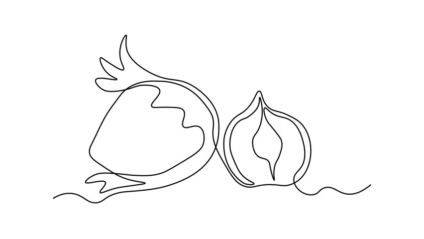 Abstract hazelnut, filbert, Self drawing animation one continuous line draw, logo