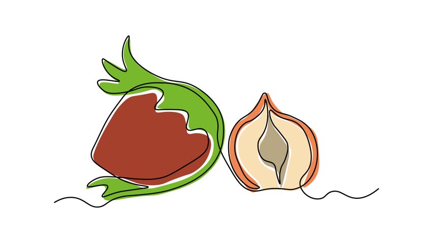 Abstract hazelnut, filbert, Self drawing animation one continuous line draw, logo