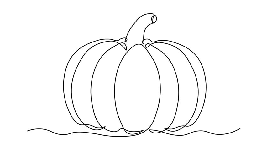 abstract pumpkin, autumn harvest,Halloween. Self drawing animation one continuous line draw, logo