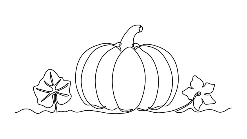 abstract pumpkin, autumn harvest,Halloween. Self drawing animation one continuous line draw, logo