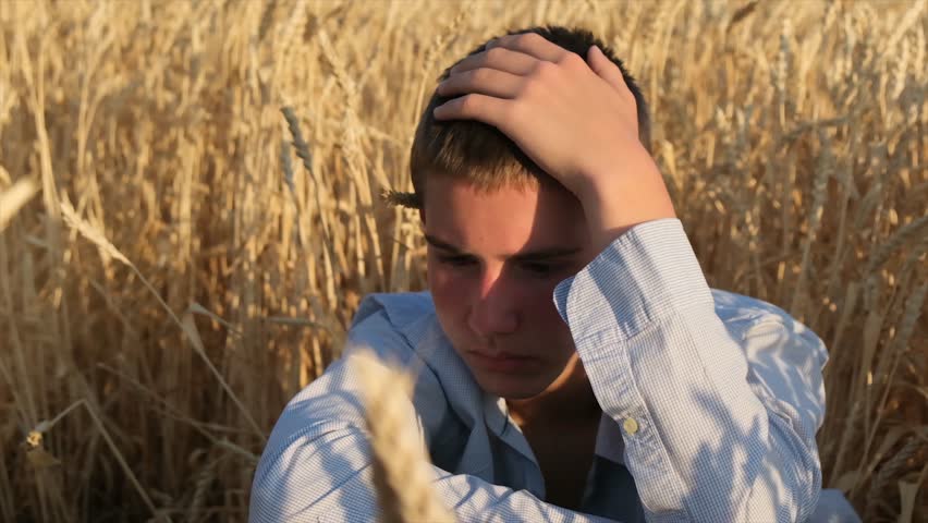 Sad young man sitting in wheat field among golden ears, holding his head, looking tense and thoughtful. Teenage struggles: family conflict, girlfriend problems, or exam failure. youth psychology.