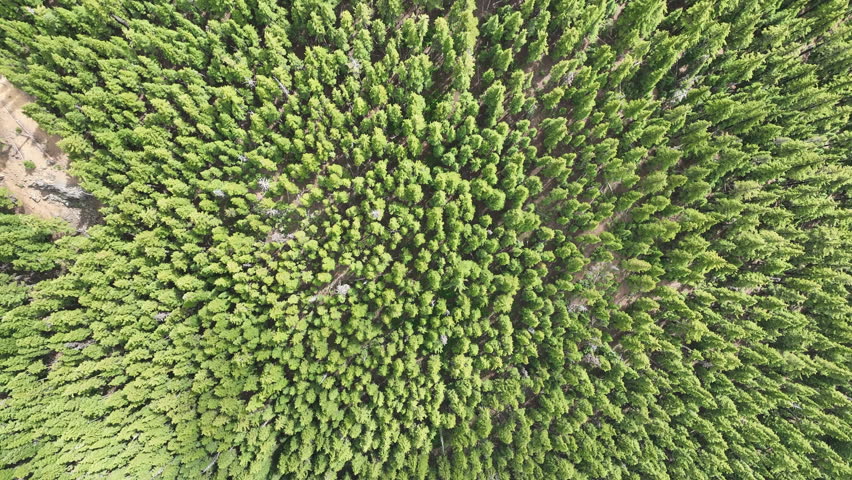The Deschutes National Forest surrounds Devils Lake in Oregon, not far from Bend. This lovely wilderness area is popular for camping, hiking, biking, fishing, and paddle boarding during the summer.