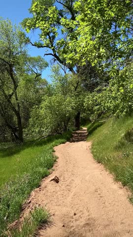 Quiet Green Trail and Peaceful Meadow (Zion National Park, Utah, USA)
