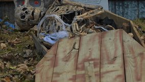 Human skeleton in wooden coffin. Cemetery and skeleton in the ground close up. Human remains, skull, ribs and hands bones of skeleton in the ground tomb: Uxbridge, Ontario, Canada - October 7, 2024 - Powered by Shutterstock - Get 15% off with code: PIKWIZARD15
