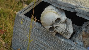 Human skeleton in wooden coffin. Cemetery and skeleton in the ground close up. Human remains, skull, ribs and hands bones of skeleton in the ground tomb: Uxbridge, Ontario, Canada - October 7, 2024 - Powered by Shutterstock - Get 15% off with code: PIKWIZARD15