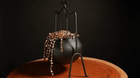 Black round bowl Cauldron. Witches tools for brewing potions, casting spells, and performing magical rituals. Halloween witchcraft mysterious and mystical practices. - Powered by Shutterstock - Get 15% off with code: PIKWIZARD15