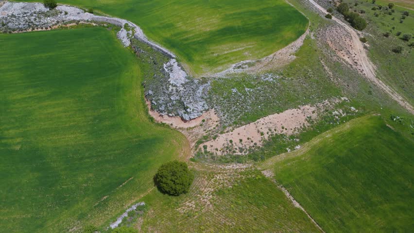 Cereal fields and spring landscape in the Riaza River Gorges Natural Park. Montejo de la Vega de la Serrezuela, Province of Segovia, Castile and León, Spain, Europe