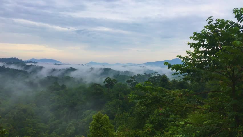 Morning foggy weather in the Meratus Mountains, Tropical Rainforest of Borneo, Indonesia