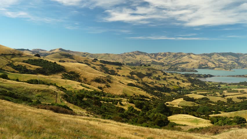 Panning right view, Banks Peninsula’s rolling golden hills, lush greenery, and coastal inlets under a vibrant blue sky. Canterbury landscape near Christchurch, New Zealand