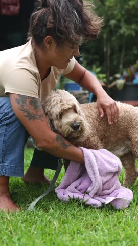 Caring garden owner gently drying wet Cockapoo with purple towel, cuddling and playfully interacting on lush grass after bathing, showcasing tender pet care moment