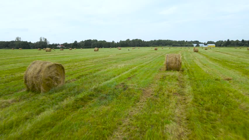 Drone FPV view fly fast between round straw hay bales across a vast harvested field with tree lined meadow edge. Flying low over rural summer farmland. Freshly mowed green grass field after haymaking.