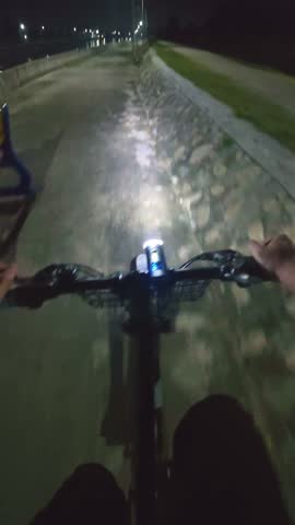 First-Person View of Biking at Night