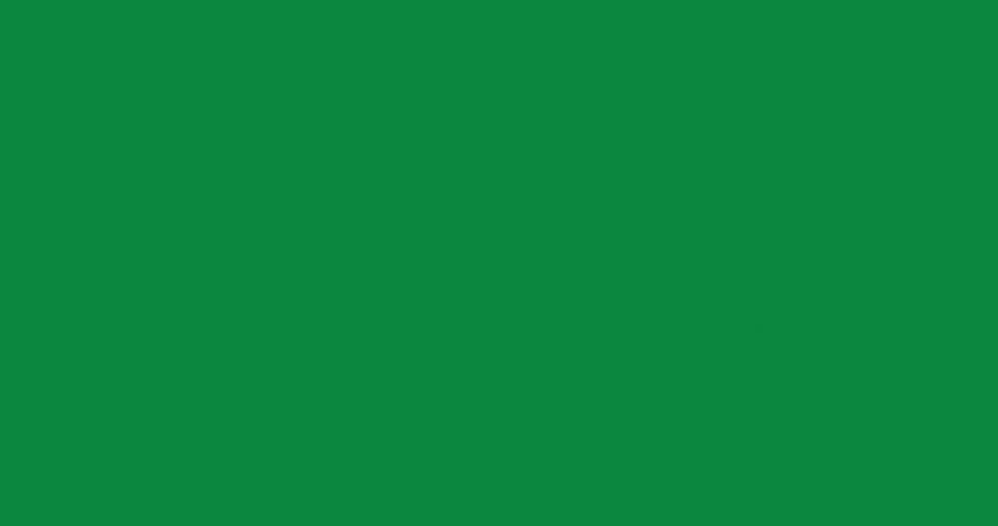 Cartoon green leaf grow and stop isolated. Business style plant tree element growing  good for explainer. Flat vector simple business style infographic animation video for film presentation scene.