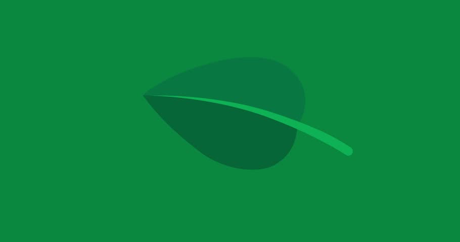 Cartoon green leaf grow and stop isolated. Business style plant tree element growing  good for explainer. Flat vector simple business style infographic animation video for film presentation scene.