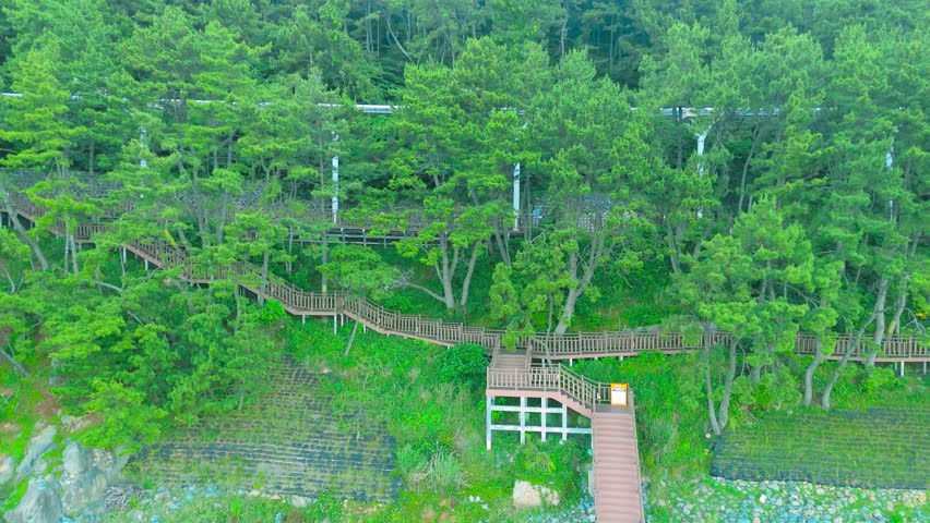 Aerial view of a yellow monorail traveling on its track through a green forest with a winding wooden boardwalk on a hillside, Busan, South Korea.