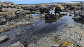 Shot of tidal pools in Penrhos Bay during low tide. Clear water reflects the blue sky while rocks and seaweed surround the scene. - Powered by Shutterstock - Get 15% off with code: PIKWIZARD15