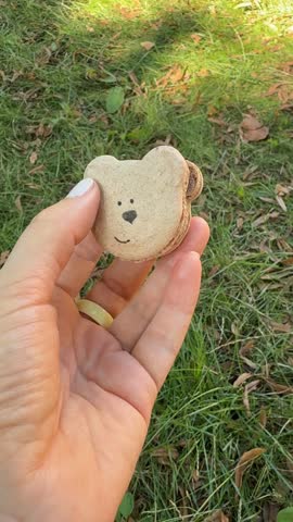Hand holding bear-shaped macaron with cute face design in outdoor grassy background video