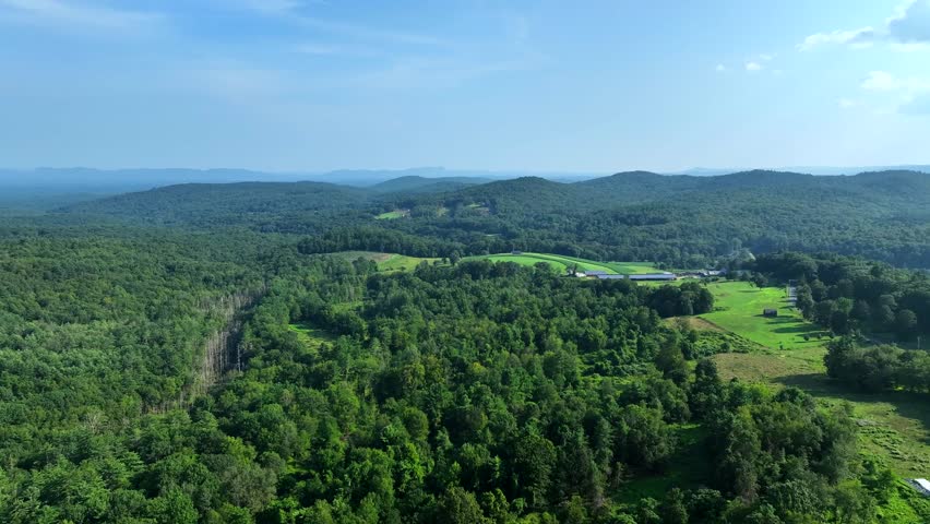 Aerial dolly over dense forest and adjacent farmland under clear blue sky
