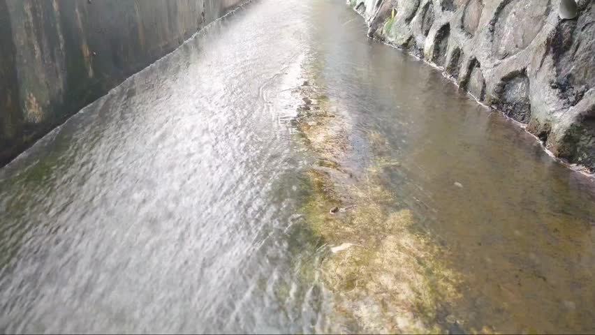 The water drainage in a village looks clear because it has undergone natural filtration. This video was taken in Sukabumi, West Java, Indonesia.